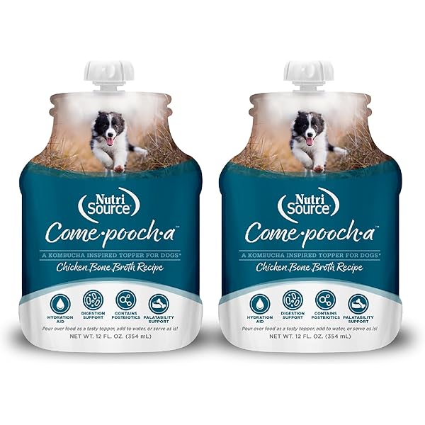 NutriSource Come-Pooch-A Beef Broth Dog Food Topper, 12 oz