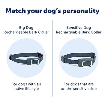 PetSafe Rechargeable Bark Control Collar PBC00-15999