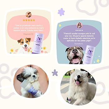 Kin+Kind Organic Nose & Paw Balm Stick - Dog & Cat Moisturizer - 2.3oz Shea Butter