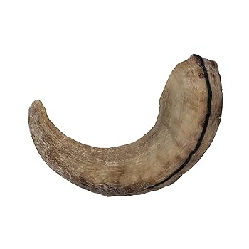 Icelandic+ Lamb Horn Large Dog Chew - All Natural, Long Lasting Treat