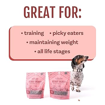Polkadog Bakery Henny Penny Bits - Chicken & Cranberry Dog Treats - 7oz Pouch