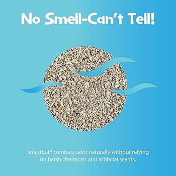 Pioneer Pet SmartCat All Natural Clumping Grass Cat Litter, 10 lb Unscented