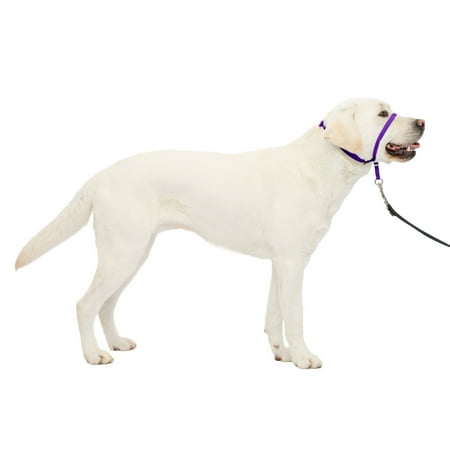 PetSafe Gentle Leader Headcollar, Large, Deep Purple, No-Pull Dog Training Collar