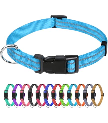 Coastal Pet Nylon Dog Collar, Black, 3/8 in x 10 in, Single Ply