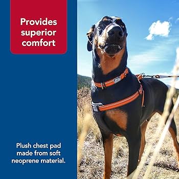 K9 Explorer Reflective Adjustable Padded Dog Harness - Berry, Medium (1" x 20"-30")