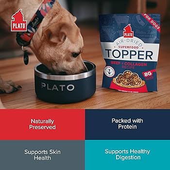 Plato Pet Treats Superfood Topper - Beef & Collagen Recipe, Air-Dried Dog Food, 12oz