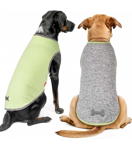 Gold Paw Sun Shield Dog Tee - UPF 50+ UV Protection, Lightweight & Breathable