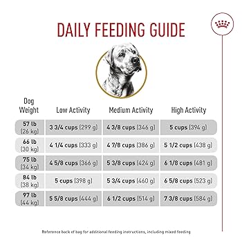 Royal Canin Labrador Retriever Adult Dry Dog Food - 30 lb Bag