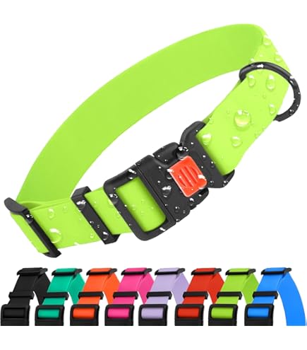 Dogline Biothane Waterproof Dog Collar - Strong Coated Nylon, Odor-Proof, Easy Clean (Merlot Burgundy)