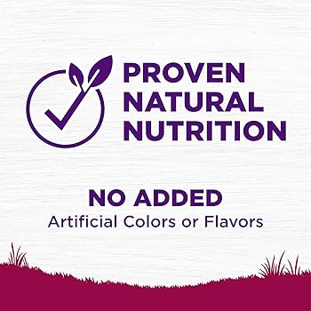 Wellness Complete Health Small Breed Adult Dry Dog Food - Turkey & Oatmeal - 12 lb Bag