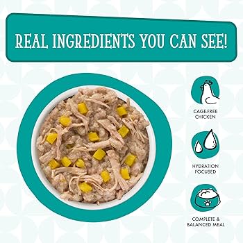 Weruva Dogs in the Kitchen Funk in the Trunk Wet Dog Food - Chicken & Pumpkin - 2.8 oz Pouch