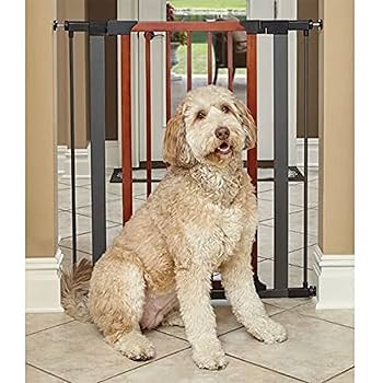 MidWest Homes for Pets 39-Inch Tall Pet Gate - Graphite Frame & Wood Door, Expands 29-38 Inches