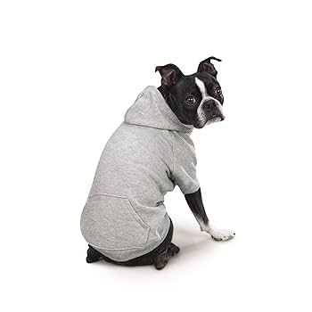 Zack & Zoey Basic Dog Hoodie - XS - Gray (Heather Gray)