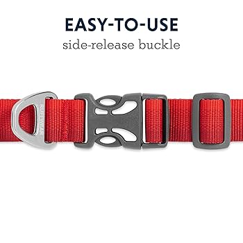Ruffwear Front Range Dog Collar, Red Sumac, 14-20" Adjustable, Lightweight, Reflective