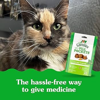 Greenies Feline Pill Pockets Cat Treats, Catnip Flavor, 1.6 oz, 45 Count