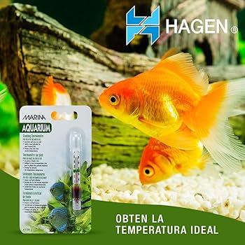 Marina Standing Aquarium Thermometer - Fahrenheit & Celsius Display