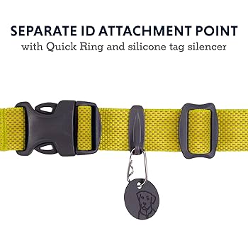 Ruffwear Hi & Light Dog Collar, Ultralight Reflective Collar, Lichen Green, 9-11"