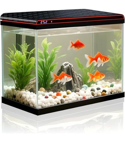 Aqueon 10 Gallon Aquarium, Black Trim, 20 x 10 x 12 Inches - Standard Size Glass Tank