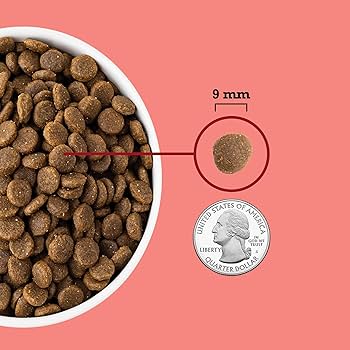 ACANA Indoor Cat Recipe - Highest Protein, Grain-Free, Dry Cat Food (4 lb Bag) Chicken, Trout & Salmon