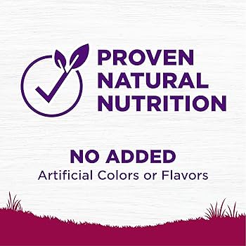Wellness Complete Health Small Breed Healthy Weight Dog Food, Turkey & Rice, 4 lb