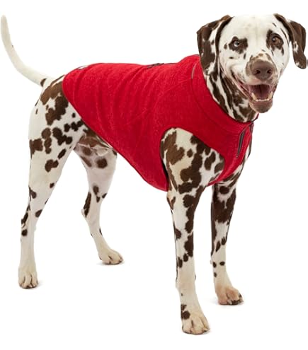 RC Pet Products Baseline Dog Fleece Black/Lime Size 20