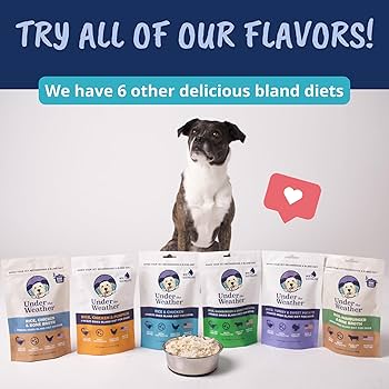 Under the Weather Bland Diet Dog Food, Turkey Rice & Sweet Potato with Electrolytes, 6oz