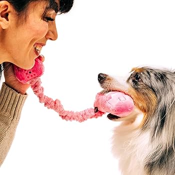 P.L.A.Y. 80's Classics Paw Talk Plush Dog Toy - Pink Corded Phone Squeaky Chew Toy