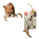 Sticky Image