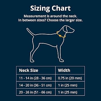 Ruffwear Front Range Collar, River Rock Green, Large, 20-26" Adjustable Dog Collar