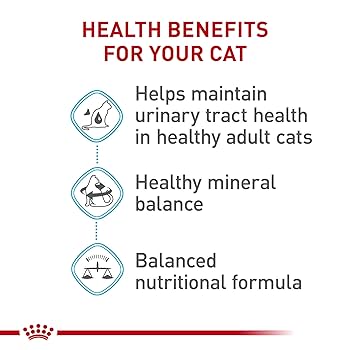 Royal Canin Feline Urinary Care Adult Dry Cat Food, 14 lb Bag