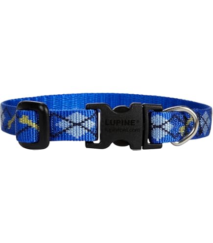 Lupine Dapper Dog Adjustable Collar - 3/4 Inch Width, Fits 13-22 Inch Neck