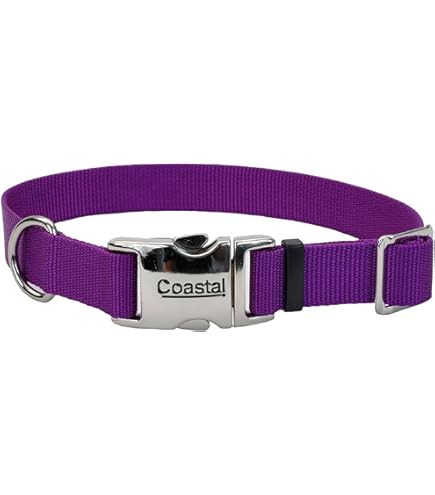 Inspire Green Dog Collar - Adjustable Neoprene, 5/8 x 8-12 in, XSmall