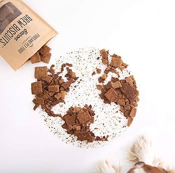 Portland Pet Food Brew Biscuits - Pumpkin Dog Treats - All Natural, Human Grade, 5 oz