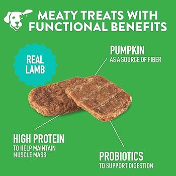 Dogswell Gut Health Mini Jerky Dog Treats - Lamb Recipe, 4 oz Bag, Grain Free