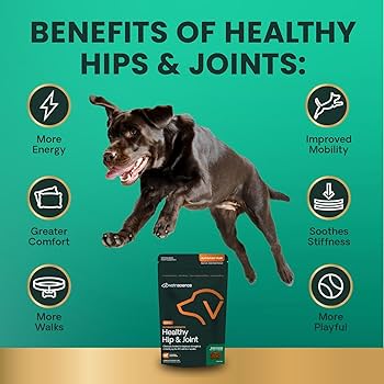 VetriScience GlycoFlex Plus Joint Support for Dogs - 60 Chews - Duck Flavor