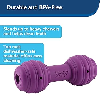 PetSafe Busy Buddy Chuckle Dog Toy - Treat Dispenser - Medium/Large - Purple