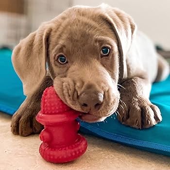 Spunky Pup Large Rubber Hydrant Dog Toy - Durable, Treat Dispensing Chew Toy