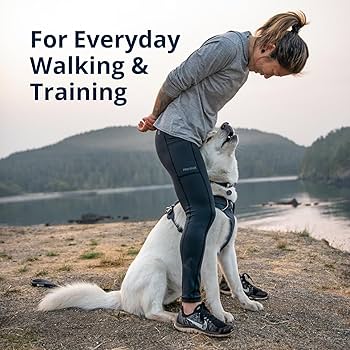 Ruffwear Front Range Dog Harness - Moonlight Mountains (XXS) - Reflective Padded Everyday Harness
