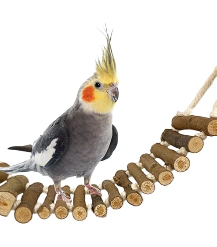 Prevue Naturals Wonder Walk Small Bird & Small Animal Ladder Bendable Bridge Toy 62808