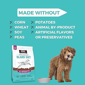 KOHA Limited Ingredient Bland Diet Dry Dog Food - Beef & Brown Rice with Pumpkin, 3.5 lbs