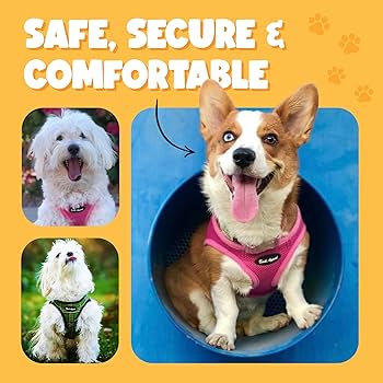 Bark Appeal Lavender Step-In Dog Harness - Medium, Soft Mesh Vest