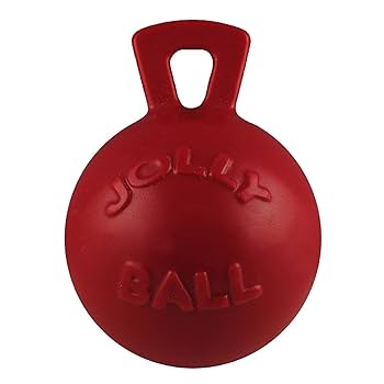 Jolly Pets Tug-n-Toss Ball Dog Toy, 6 inch, Red - Heavy Duty Chew & Tug Fun!