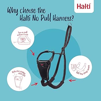 Halti No Pull Dog Harness - Large - Black - Stop Leash Pulling