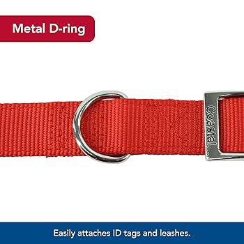Coastal Pet Pro Double Nylon Dog Collar, 1" x 22", Red