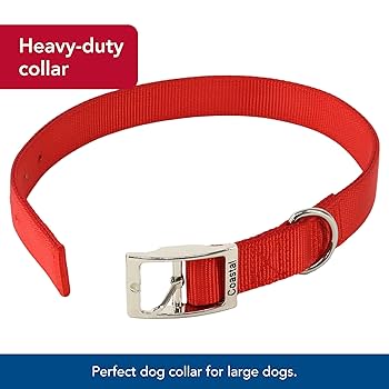 Coastal Pet Double-Ply Nylon Dog Collar, Red, 1" x 20", Medium