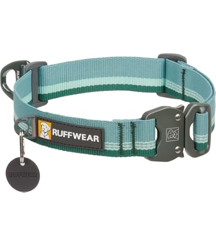 Ruffwear Front Range Dog Collar - Blaze Orange