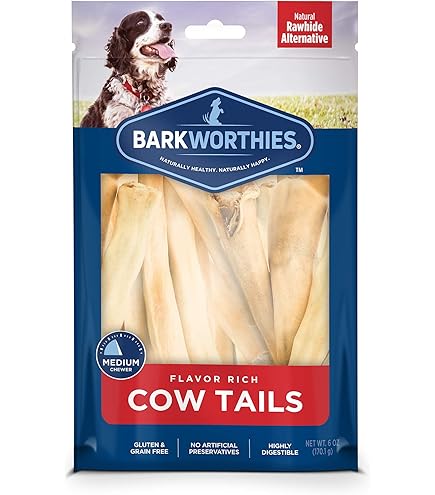 Barkworthies Smoked Beef Sticks Dog Treats, 15 Count