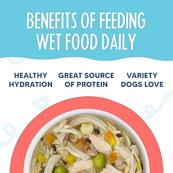 Weruva Meals 'n More Woof Woof Floof! Wet Dog Food Variety Pack, Skin & Coat Health, 3.5oz Cups, 10-Pack