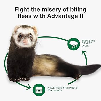 Advantage II Flea Treatment for Ferrets, 1+ lbs, 2 Doses (2-Month Supply)