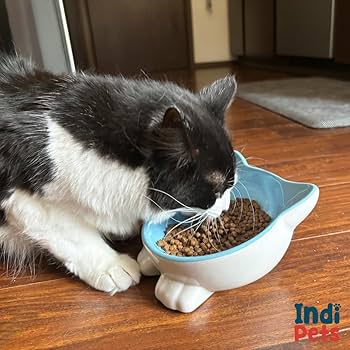 INDIPETS Pawsome Pottery Cat Face Bowl - Non-Skid Pet Food/Water Dish - Blue